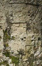 mazarin couronn&eacute;