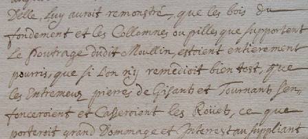 les bois du fondement ...